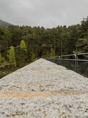 stone wall on the way to the forest