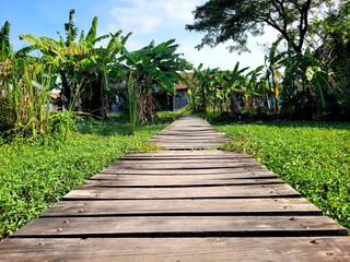 wooden bridge in the park