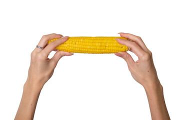 Woman gently holding an ear of fresh corn.