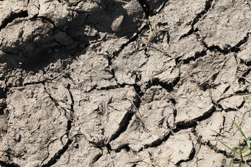 Dry ground cracked background. Soil after drought pattern. Cracks on sandy earth texture. Lack of...