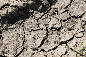 Dry ground cracked background. Soil after drought pattern. Cracks on sandy earth texture. Lack of water on globe problem background. Brown grunge dust backdrop.