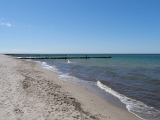 Sandstrand mit Buhnen und Sanddünen an der Ostsee bei Graal-Müritz, Deutschland