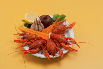 Piece of chocolate cake on a wooden plate with a cup of coffee