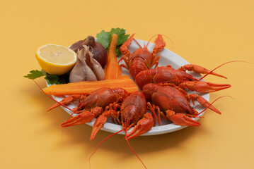 Piece of chocolate cake on a wooden plate with a cup of coffee