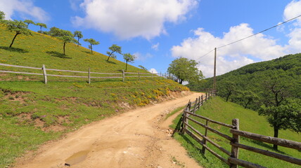 Fototapeta premium road to the mountains