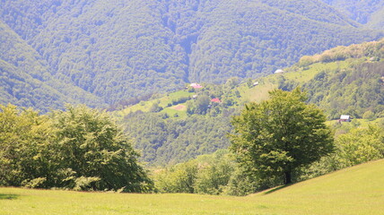 landscape with mountains