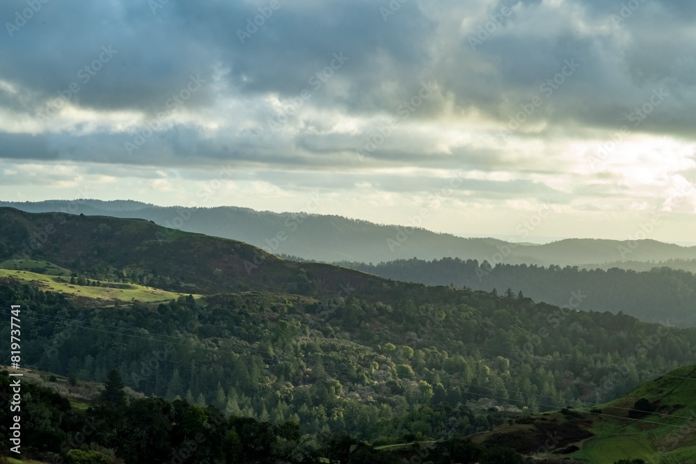 Wall mural Scenic view of vast green hills with trees under the cloudy sky