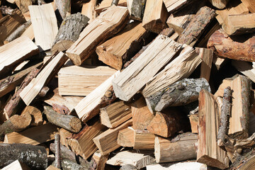 Wood industry background. Chopped wood texture. Stacked tree logs pattern. Pile of raw tree wood in forest. Firewood background.	