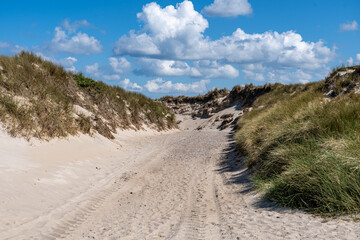 Sand dunes on Sylt island, Baltic Sea, Germany