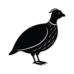 Quail silhouette, Quail Vector illustration, California quail silhouette icon logo, Quail isolated on white background