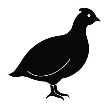 recommend clip art: Quail silhouette, Quail Vector illustration, California quail silhouette icon logo, Quail isolated on white background