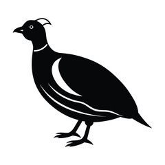 Quail silhouette, Quail Vector illustration, California quail silhouette icon logo, Quail isolated on white background