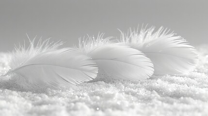   A pair of white feathers resting atop a cloud of white fluff on top of a blanket of snow