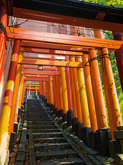 Obraz premium 伏見稲荷神社