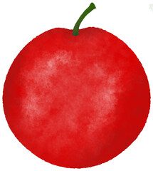 과일 사과 음식 일러스트