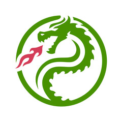 Fire breathing dragon logo.