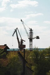 Large industrial tower crane stands tall in the middle of a lush and vibrant natural environment