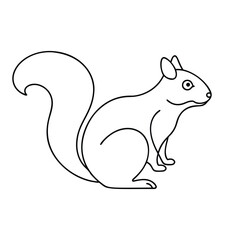  Squirrel animal Single continuous minimal line art illustration