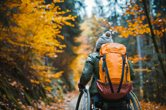 Rear view on a person in a wheelchair with a backpack enjoying an autumn forest hike. Shallow depth of field