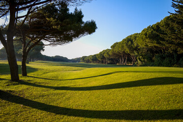 Gold Course in evening light
