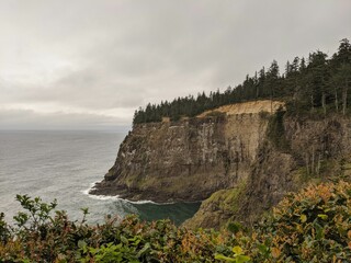 Green trees on top of the cliff with the sea in the background under the gloomy cloudy sky