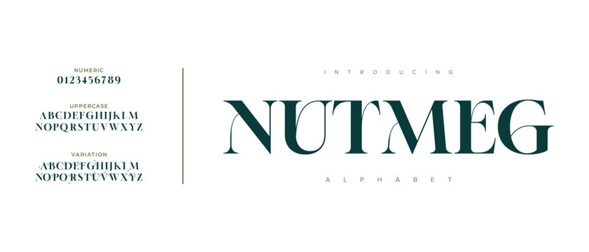 Nutmeg elegant font alphabet uppercase lowercase and number. Classic lettering minimal fashion designs. Typography modern serif fonts regular decorative vintage concept. Vector illustration