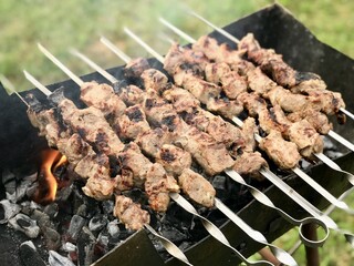 Raw meat are prepared on the metal skewers on the coals on the grill outdoors in the summer. Close-up
