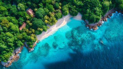 Paradise from Above.Tropical Haven