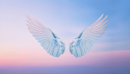 Obraz premium 天使の羽と夕焼け空