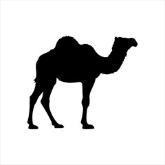 Black arabian camel silhouette isolated on white background. Camel icon vector illustration design.