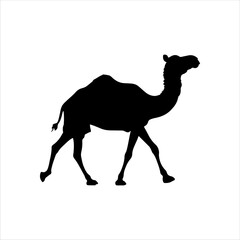Running camel silhouette isolated on white background. Camel icon vector illustration design.