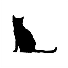 Cat sitting silhouette isolated on white background. Cat sitting icon vector illustration design.
