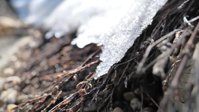 Closeup of snow melting outdoors in the backyard on a warm sunny day