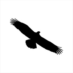 Flying eagle silhouette isolated on white background. Eagle icon vector illustration design.