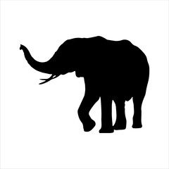 Asian elephant silhouette isolated on white background. Elephant icon vector illustration design.