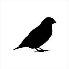 Finch bird silhouette isolated on white background. Finch bird icon vector illustration design.