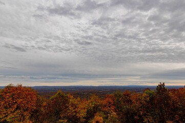 an autumn view from a hill top, with clouds and leaves in the foreground