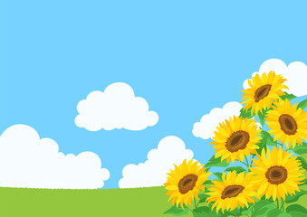 ひまわりの花と青空の風景。背景イラスト素材。