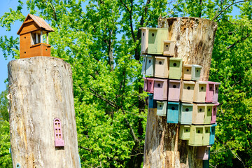 bird houses