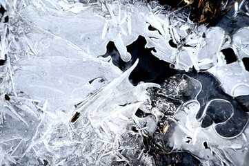 a closeup of a bunch of ice in the water