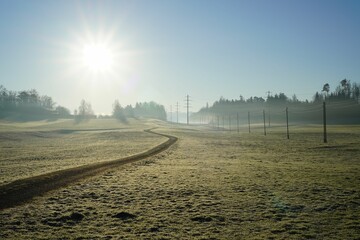 Long grass road with a sun in the sky on a frosty day