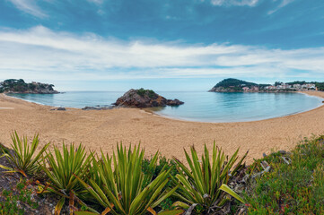 La Fosca beach summer morning landscape with castle ruins and Agave plants, Palamos, Girona, Costa Brava, Spain. 