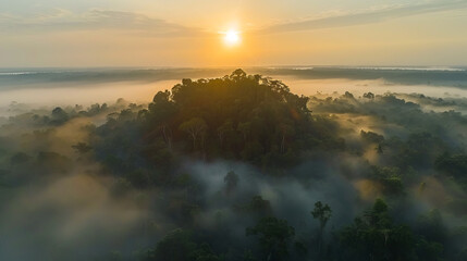 Sunrise over the amazon rainforest