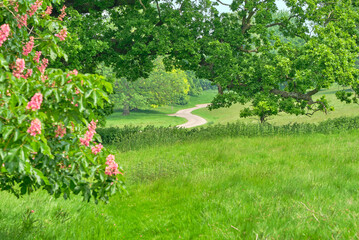 Distant winding country lane scene