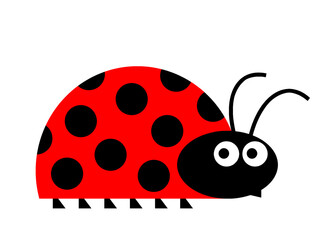 Illustration of a curious ladybird