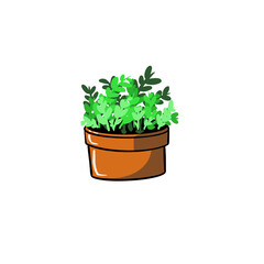 mini plant pot