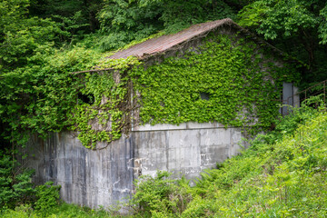 日本の岡山県の蒜山高原の古くてとても美しい建物