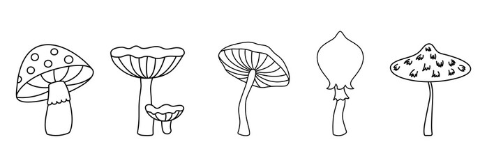 Set wild mushrooms on a white background, outline drawn vector illustration, 
Contour black line mushroom, cartoon style