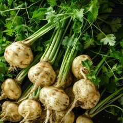 Tubers of turnip rooted chervil textured background, rutabaga pattern, white radish banner, root vegetables