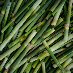 Fototapeta premium Lemongrass texture background, cymbopogon pattern, barbed wire grass banner, silky heads or oily heads